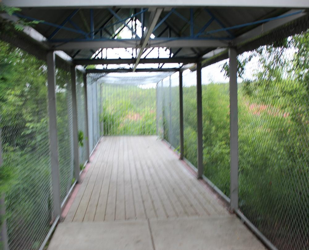 Oldtown-Finntown Overlook-Virginia必去景点