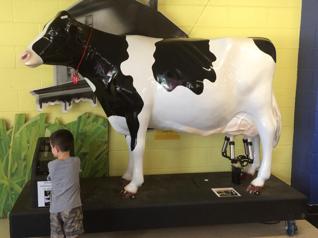 Northeast Texas Children's Museum-Commerce必去景点