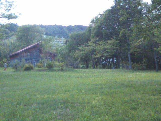 Hyuga Shinrin Park Camp Site