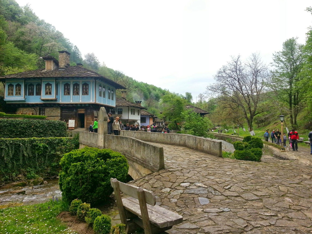 Open Air Ethnographic Museum ETAR景点图片