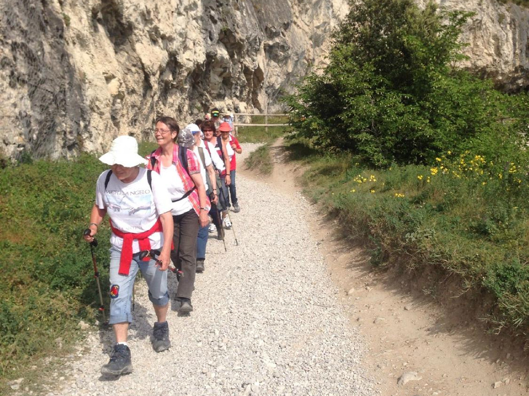 Garda Survival Experience景点图片