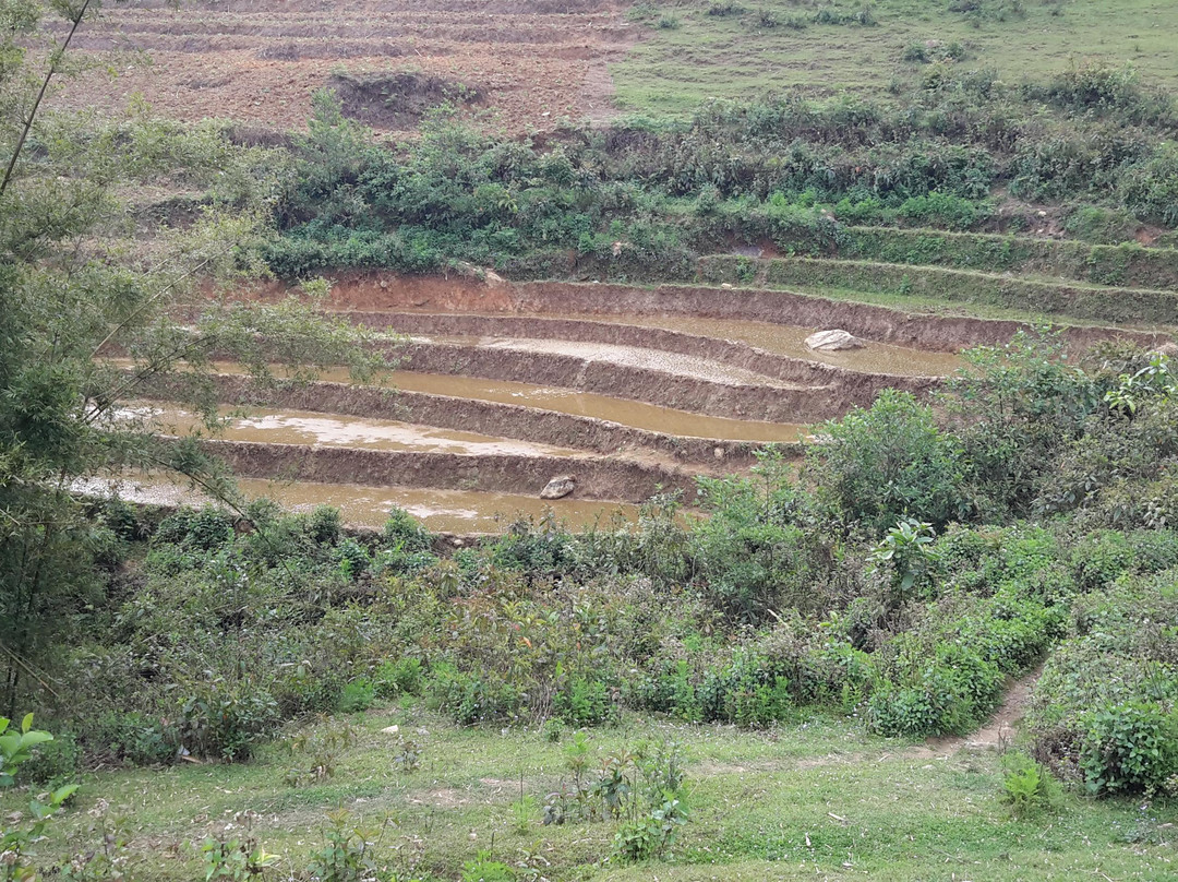 Sapa Express-河内必去景点