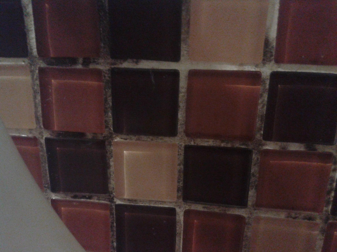 本加玛斯普雷斯酒店主图