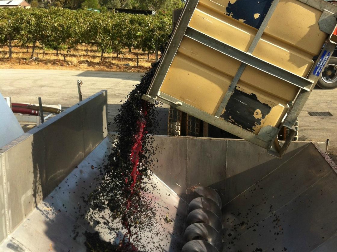 Kangarilla Road Winery景点图片