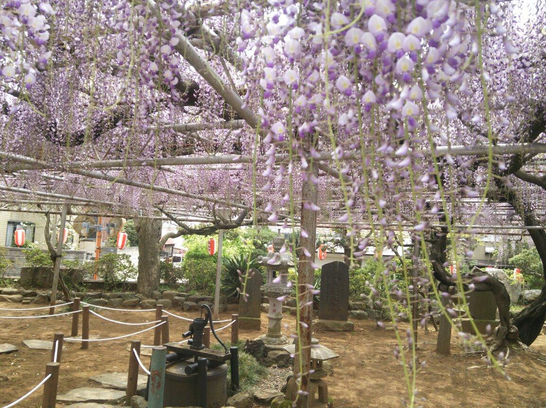 Koenji Temple-市川市必去景点