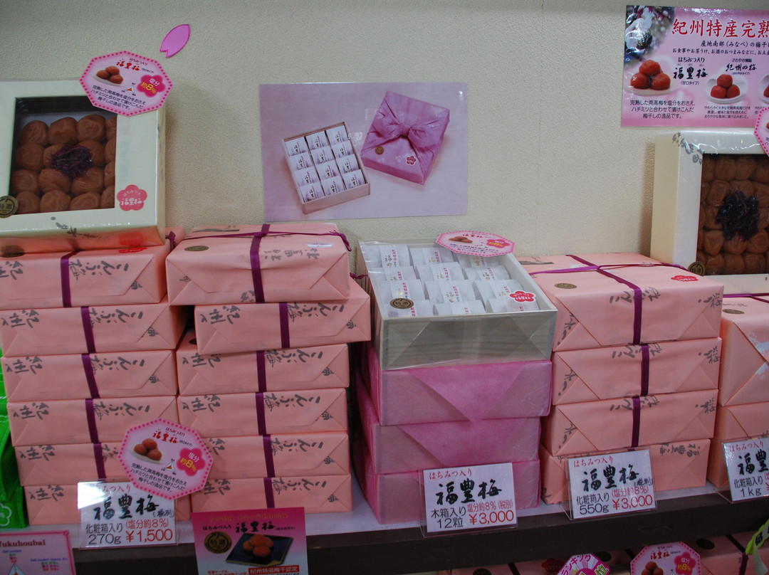 Wakayama City Tourist Souvenir Center-和歌山市必去景点