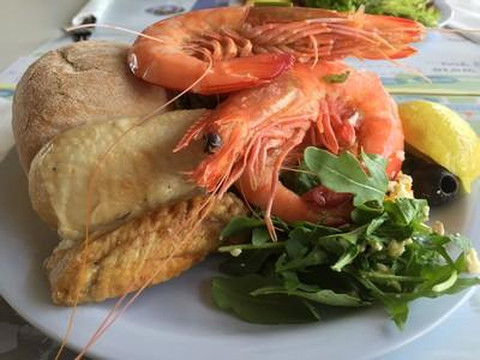 Sea World Cruises-黄金海岸必去景点