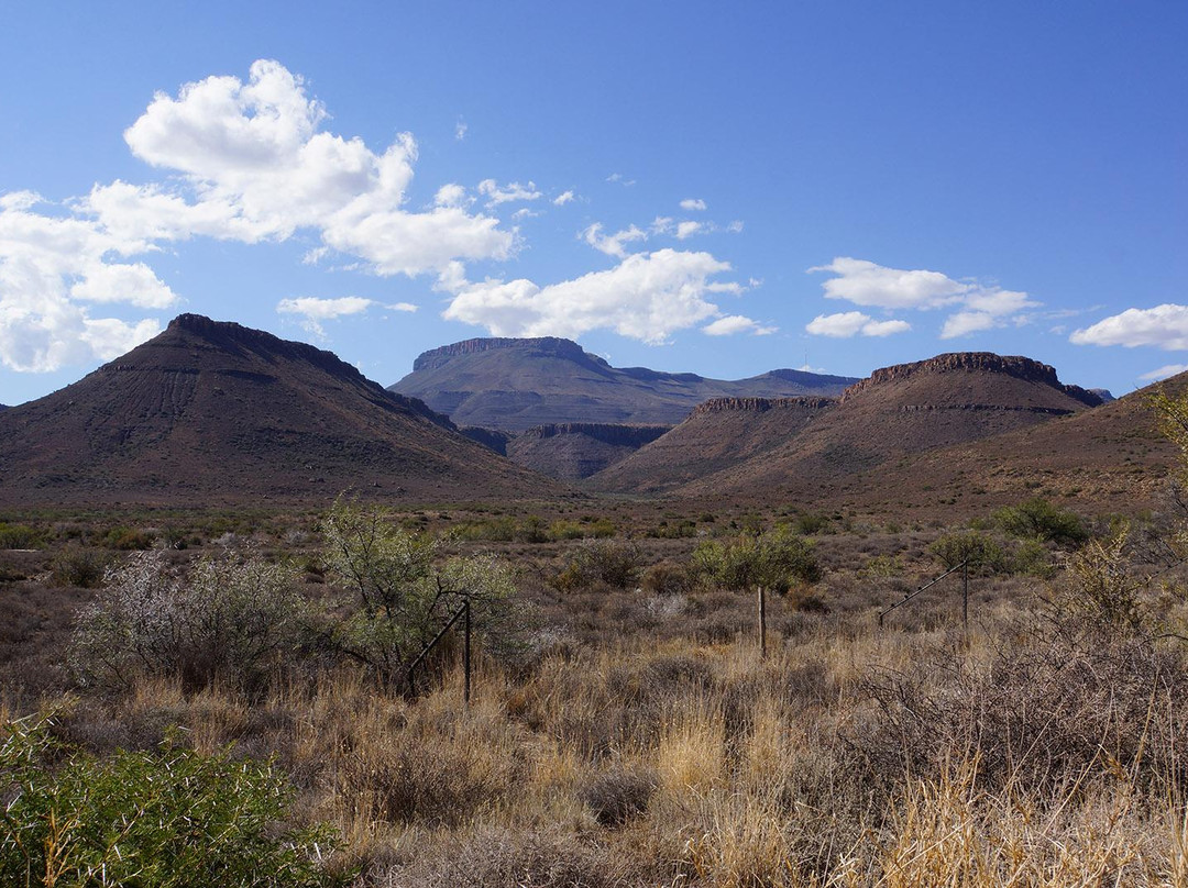 Karoo National Park景点图片
