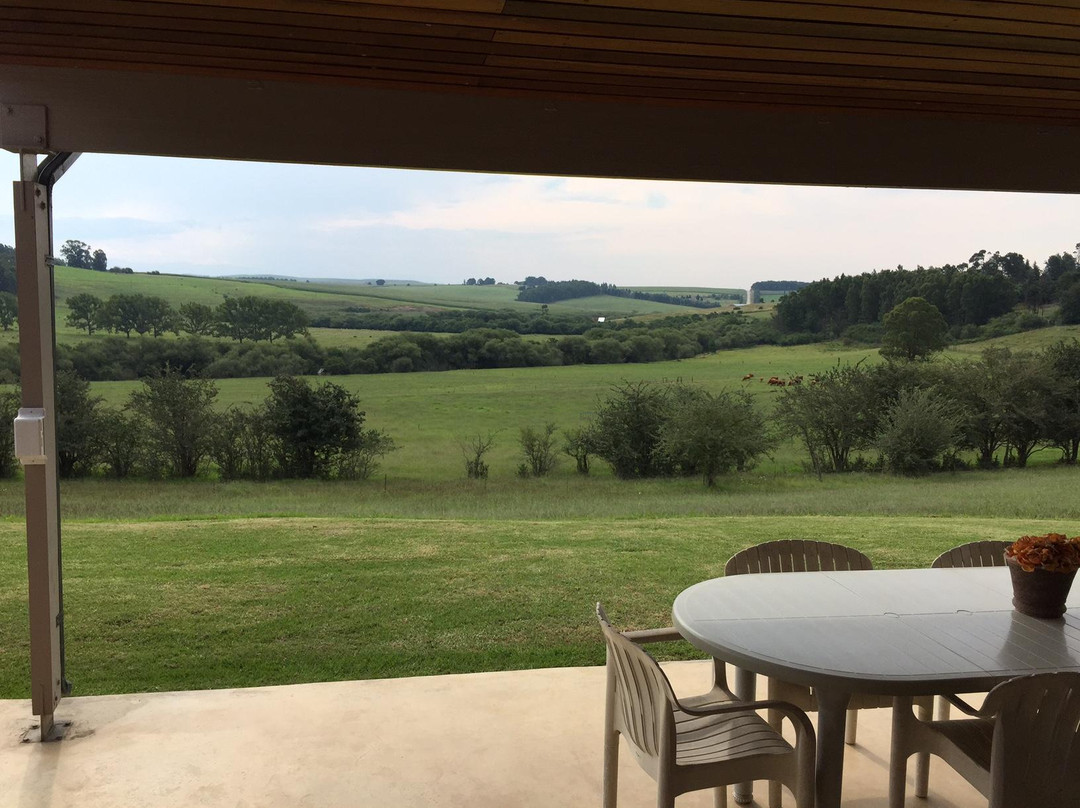 Jolo Guest Farm主图