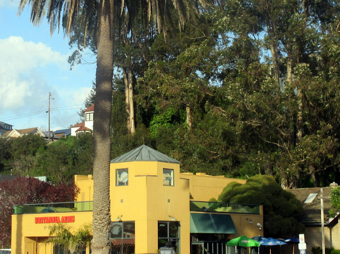 Britannia Arms
