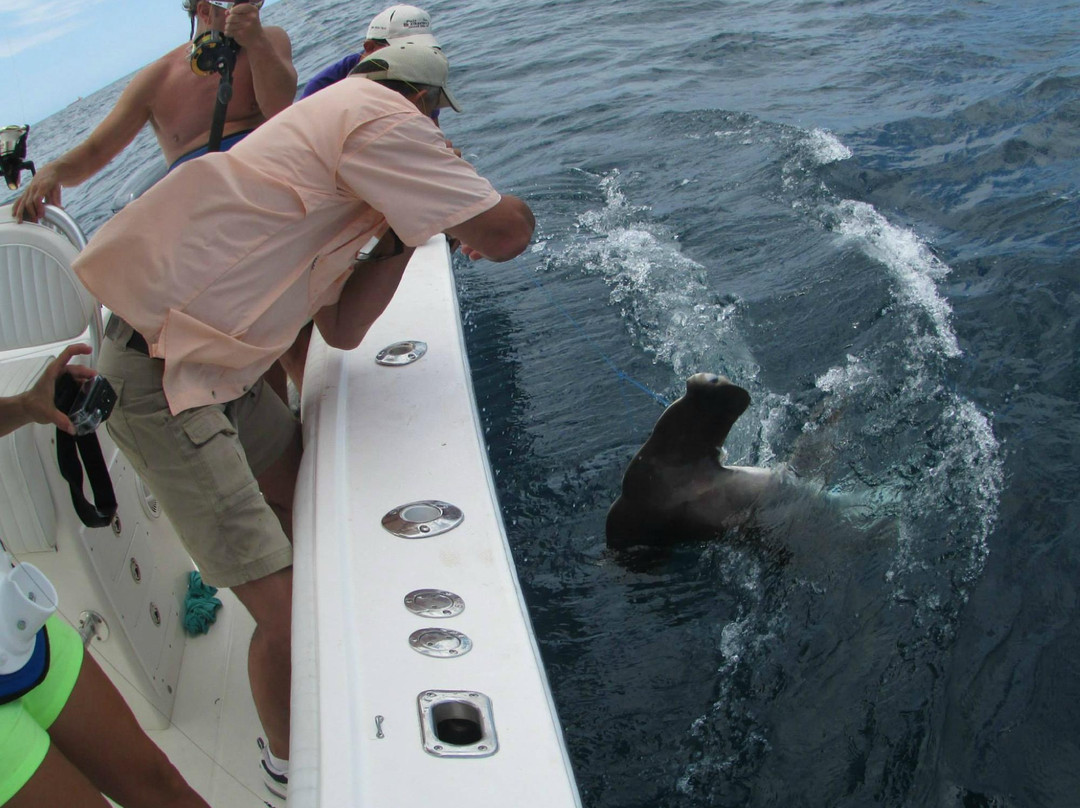 Pure Pleasure Offshore Charter Fishing景点图片