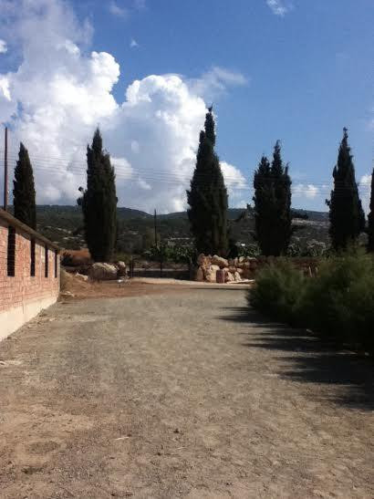 George's Ranch-Peyia必去景点