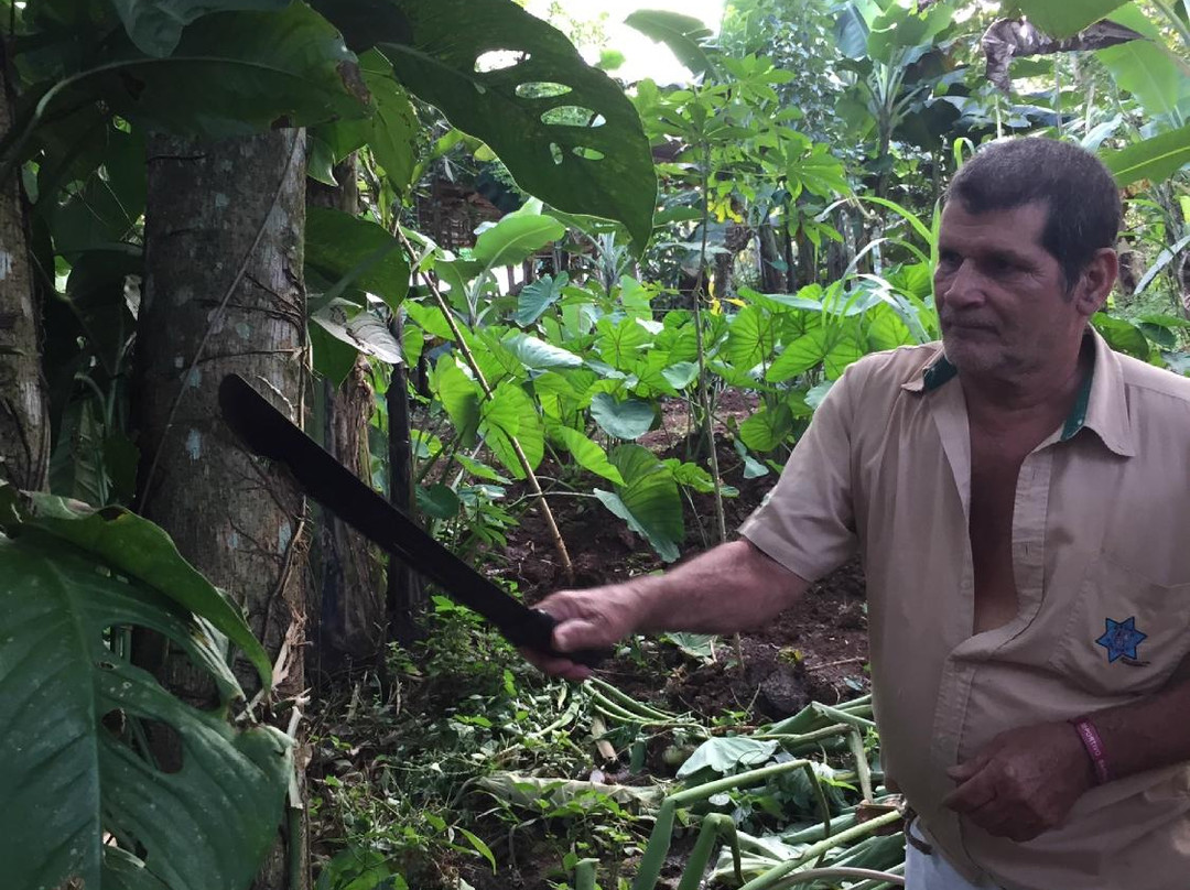 Comunidad Agroecologica Juanilama-圣卡洛斯必去景点