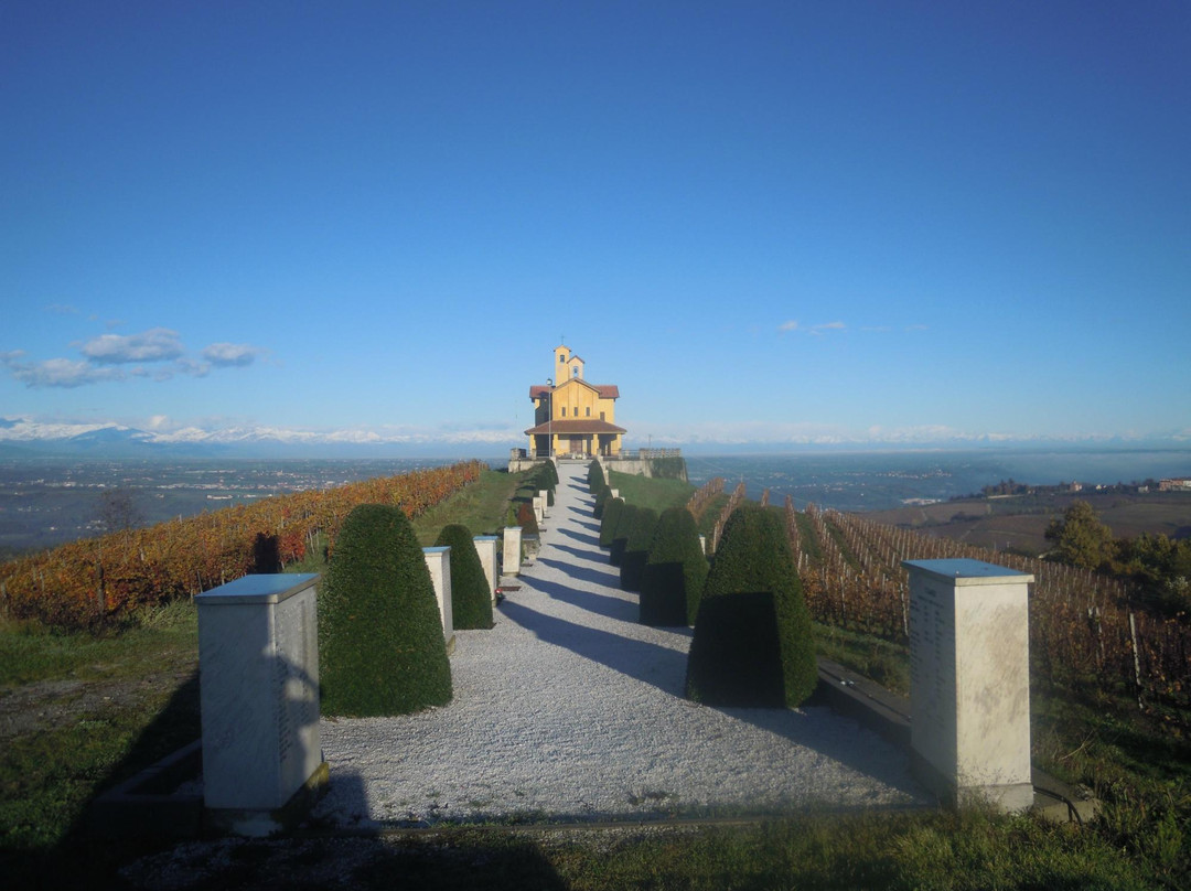 Azienda Agricola Bricco del Cucù景点图片