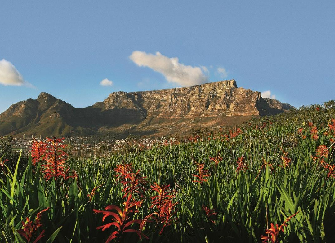 桌山空中索道-开普敦中心区必去景点