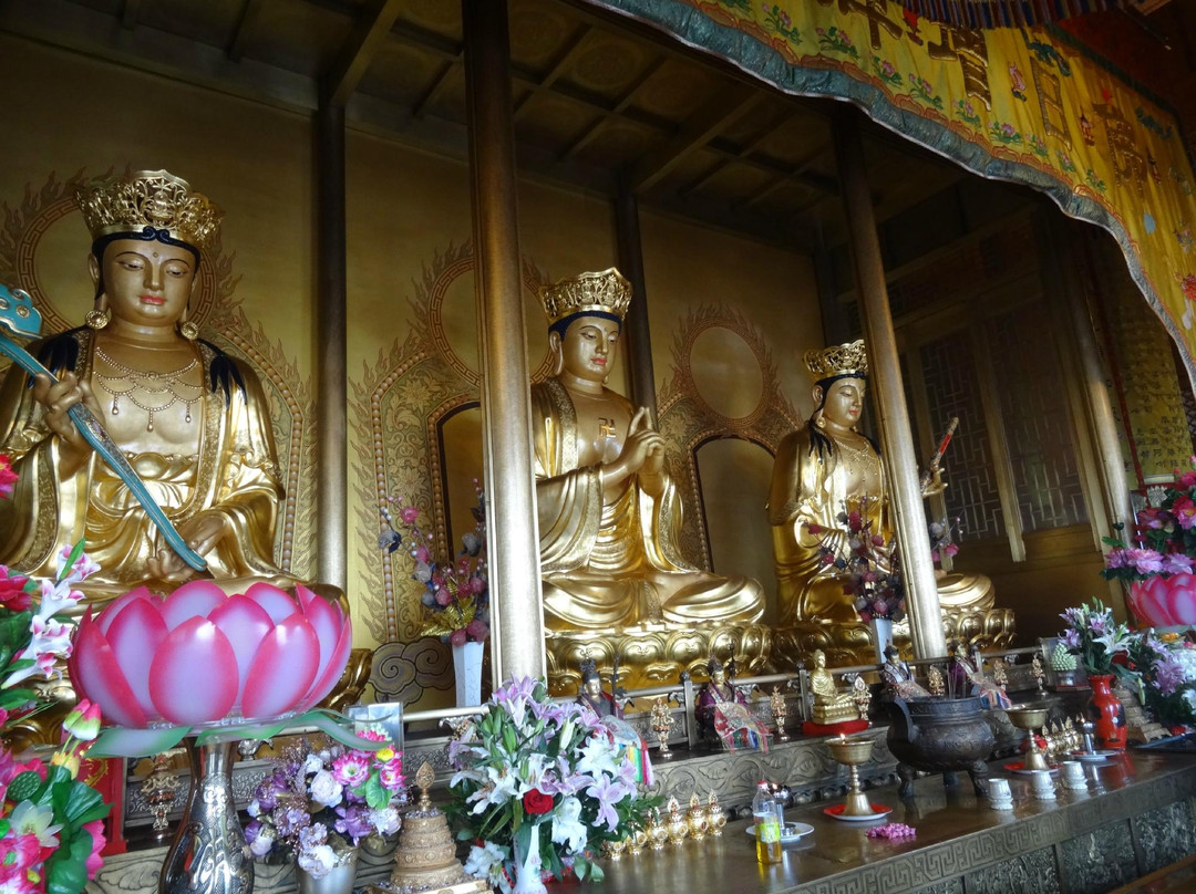 华藏寺-峨眉山市必去景点