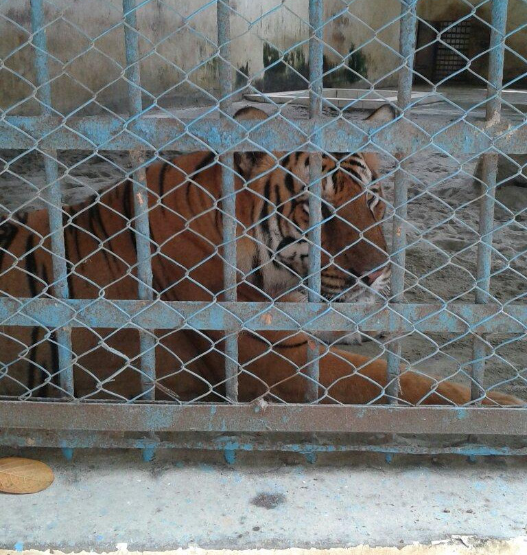 Dhaka Zoo-达卡市必去景点