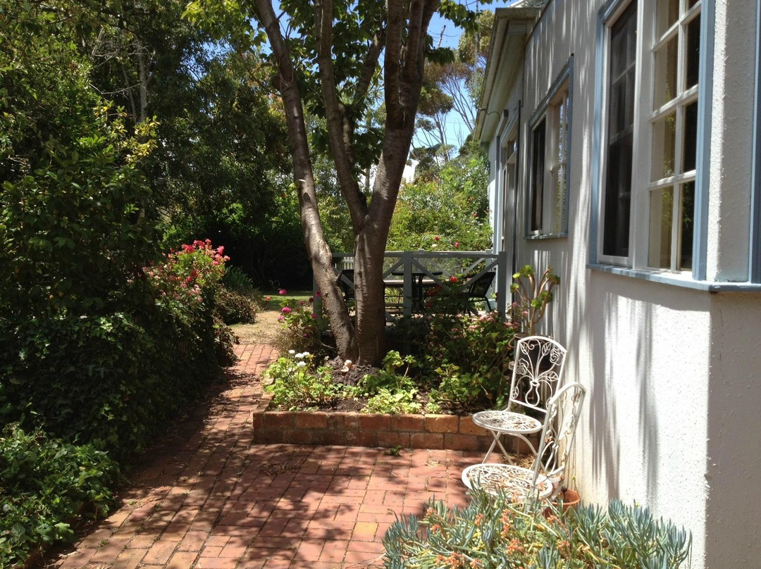 Birch House & Studio