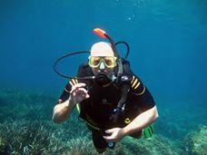 Dive! Dive! Dive!景点图片