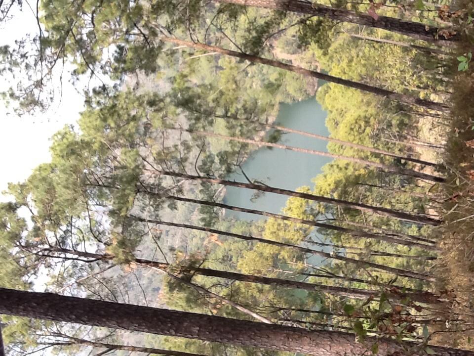 Fauna Heights-官方