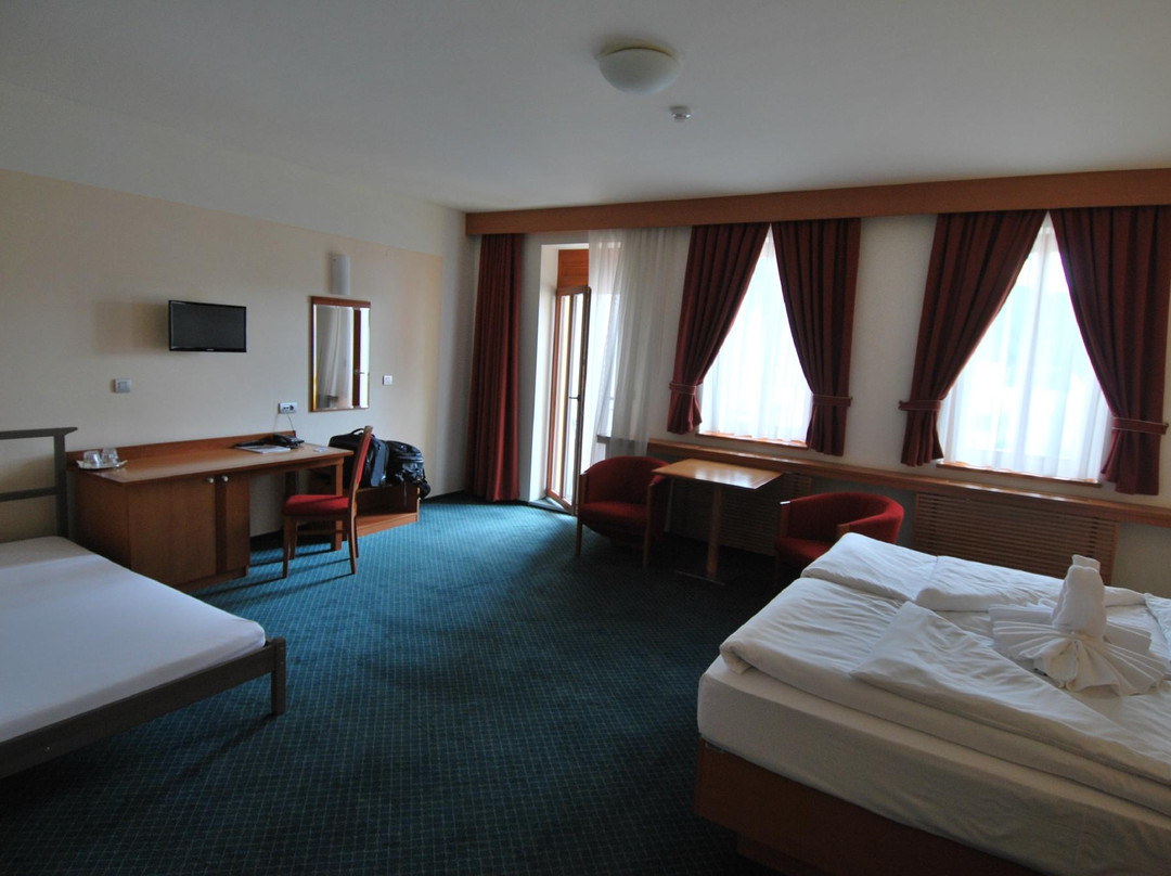 Slovan Comfort Hotel主图