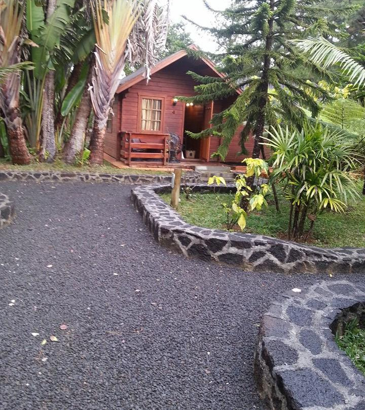 Grande Riviere Noire酒店住宿-Le Domaine de L’Arbre Du Voyageur