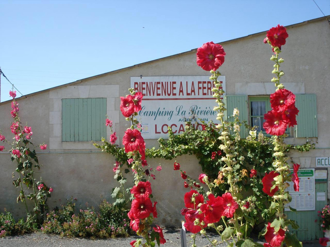 Camping La Rivière