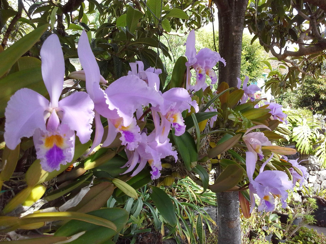 Hotel Finca Arminda主图