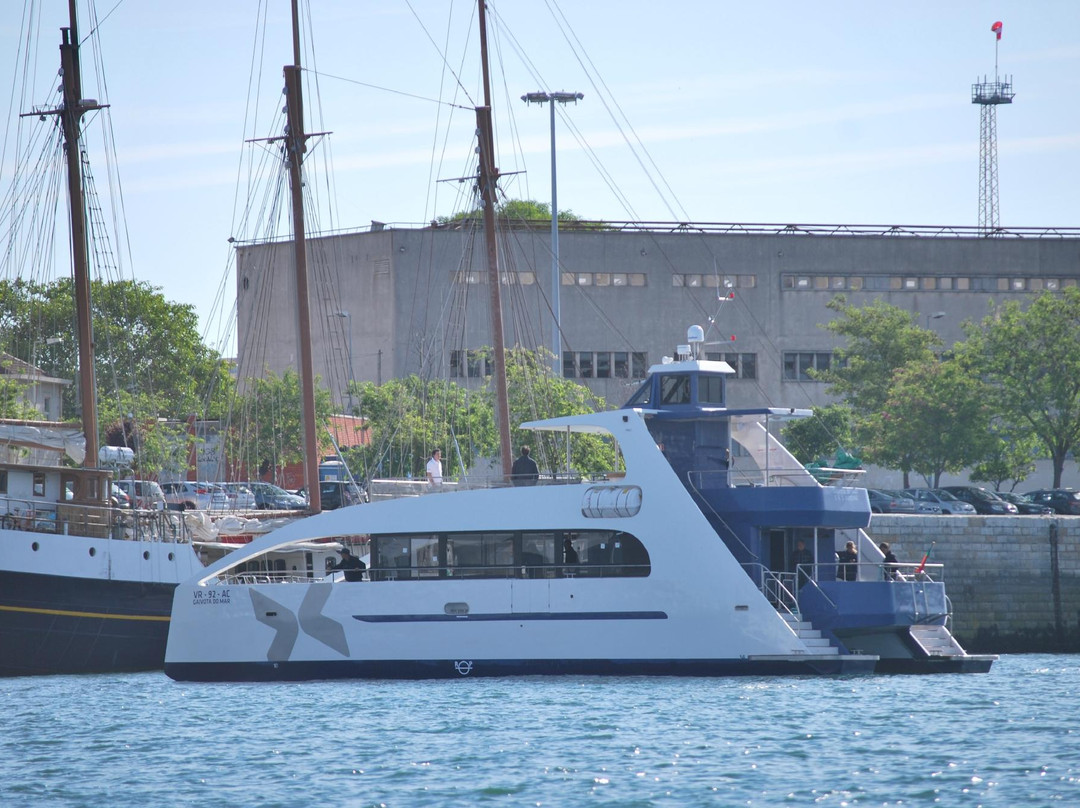 WaterX - Powering nautical events-里斯本必去景点