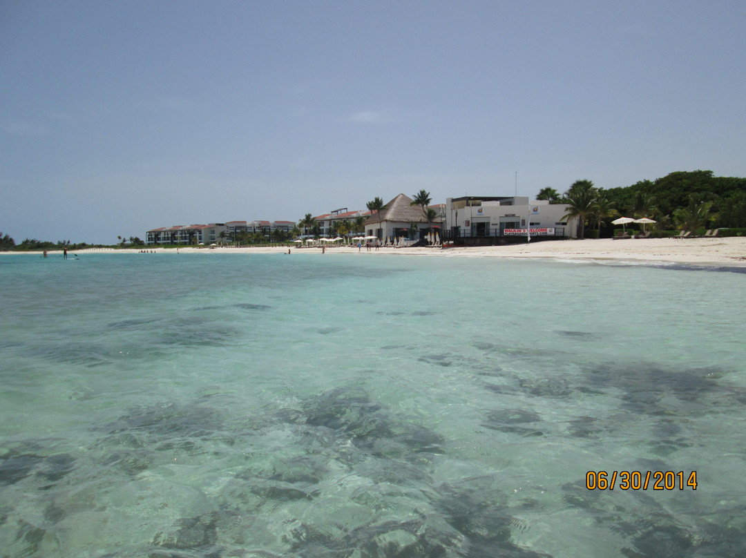 Playa Boardsports Kiteboarding & Paddleboarding School-普拉亚德尔卡曼必去景点