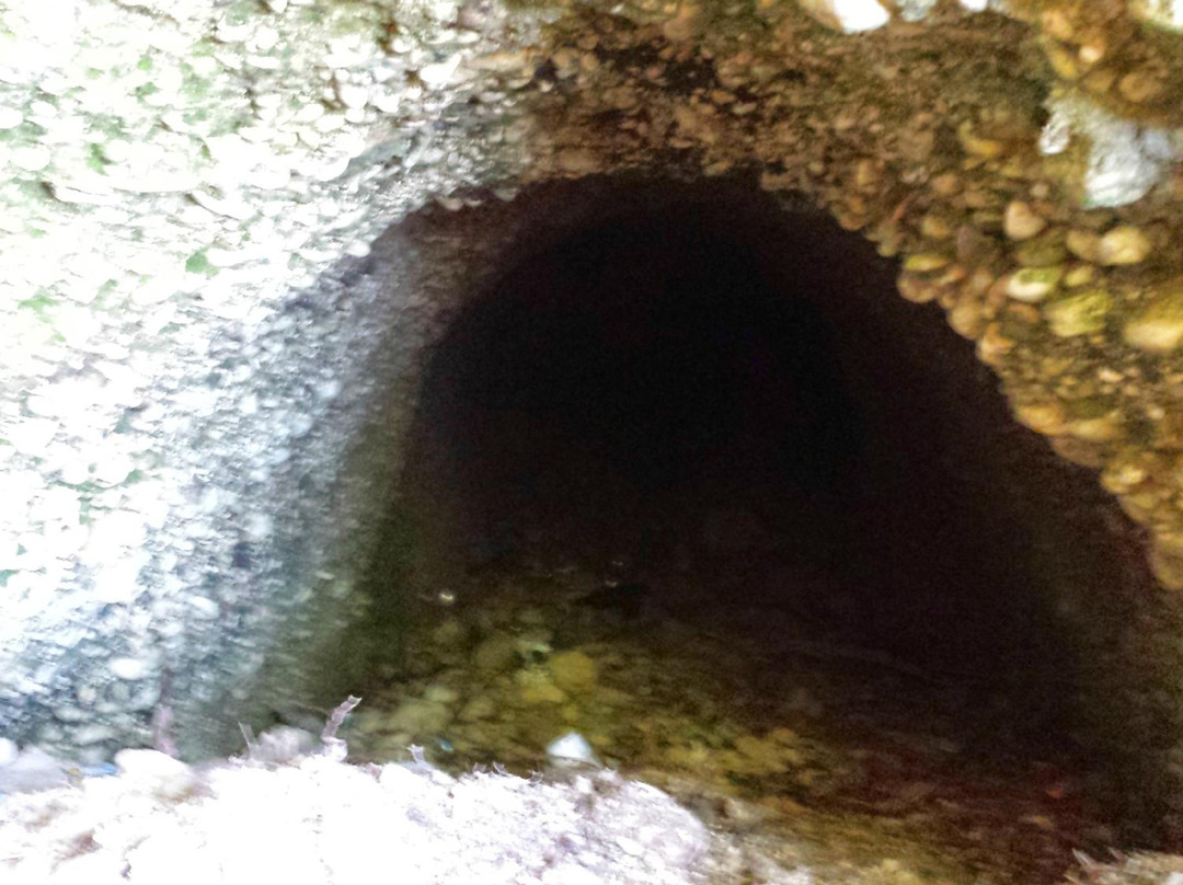 Eden Garden 2.0-Atri必去景点