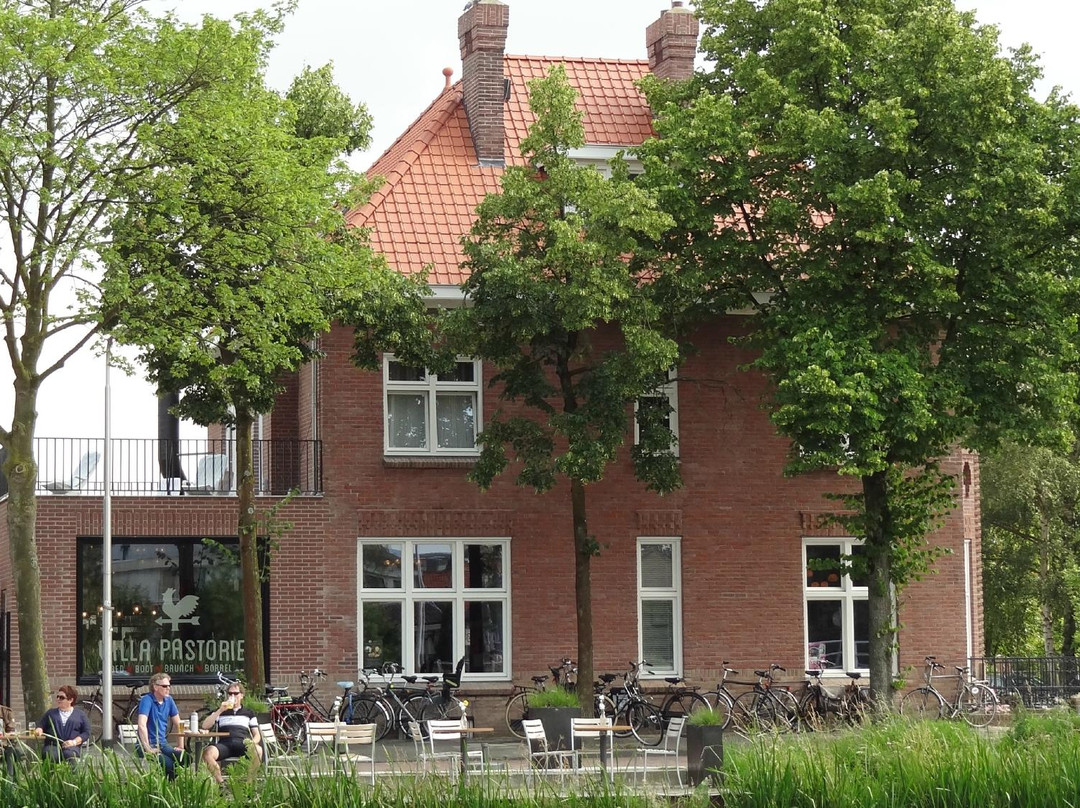 Villa la Vida主图