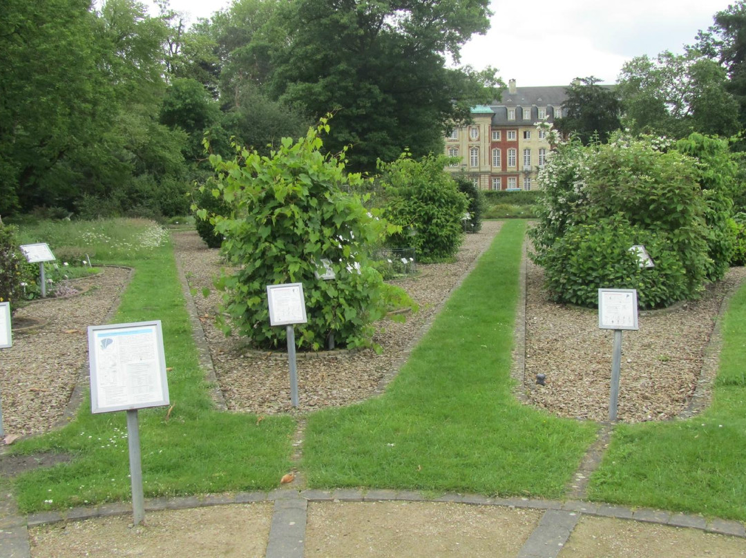 Botanical Garden Münster景点图片