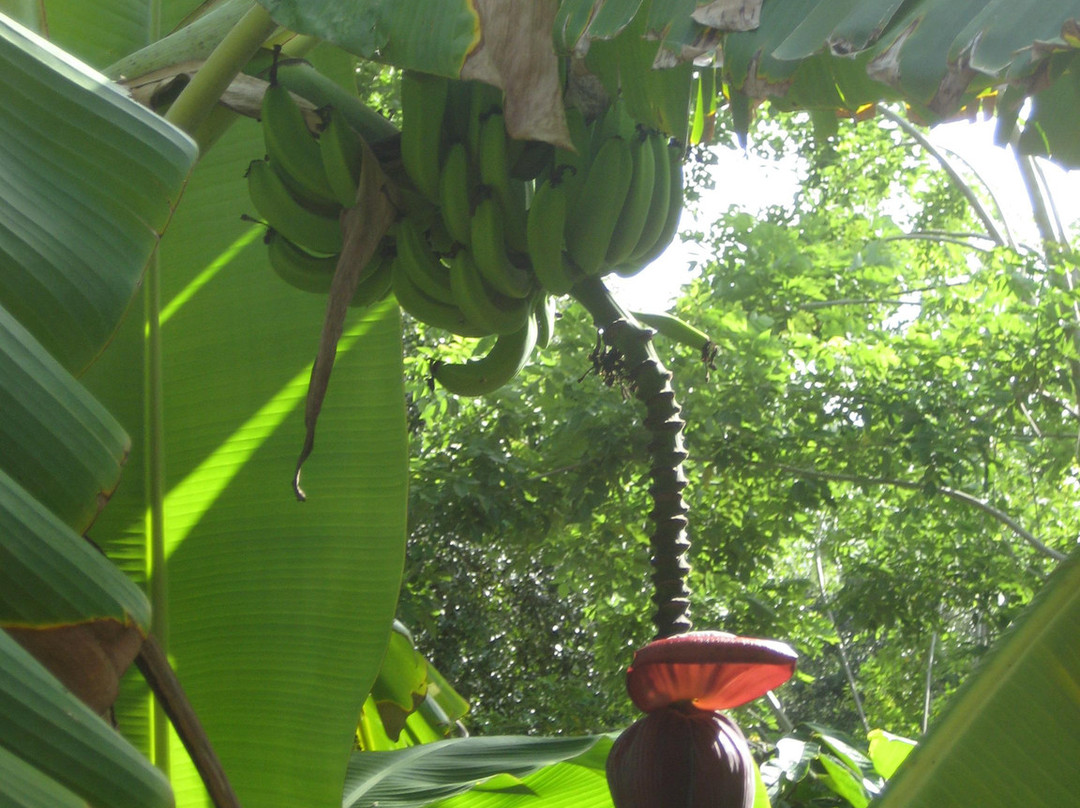 ECHO Global Farm Tours-North Fort Myers必去景点