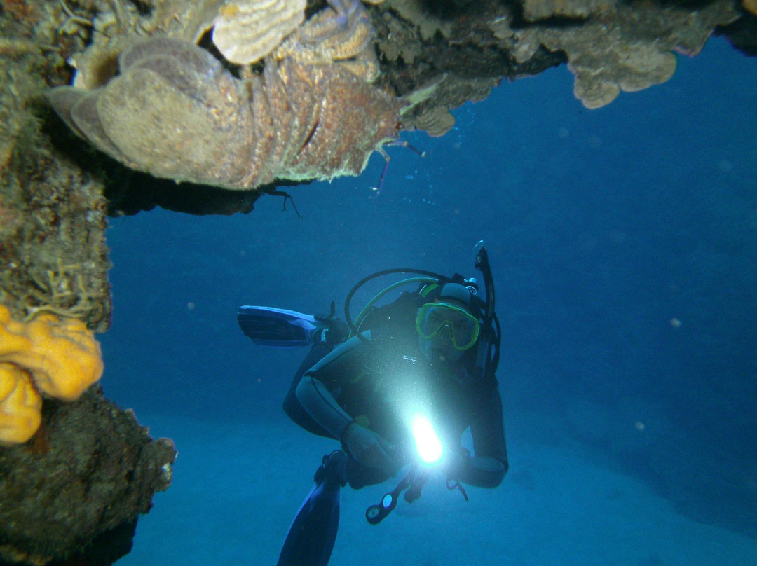 Kalypso Dive Center & School-雷斯蒙必去景点