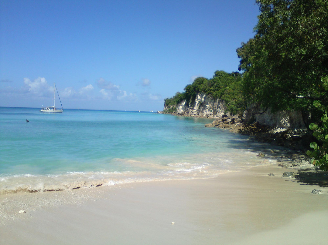 Au Jardin de Beausejour主图