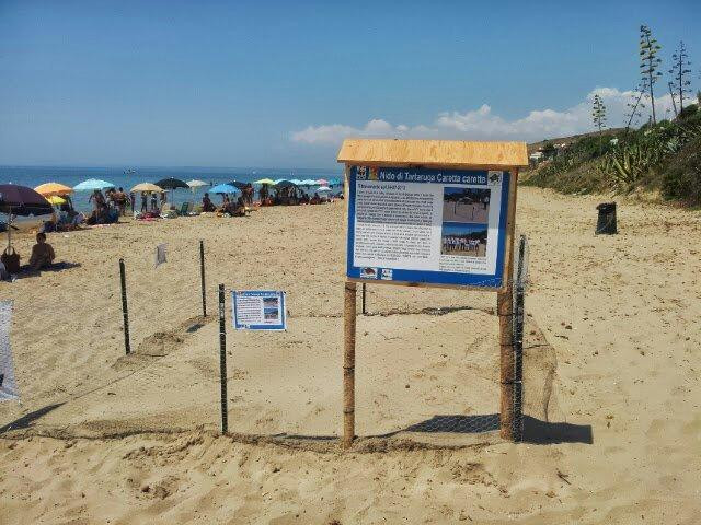 Spiaggia Capo San Marco景点图片