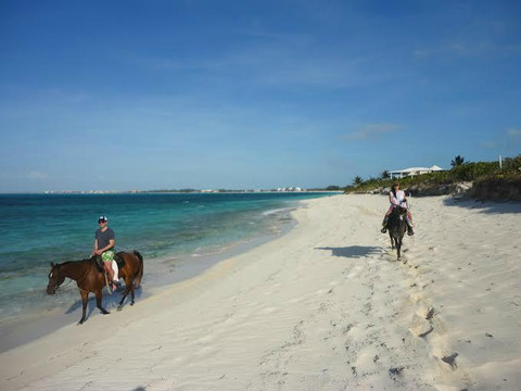 Caicos Coral-普罗维登西亚莱斯必去景点