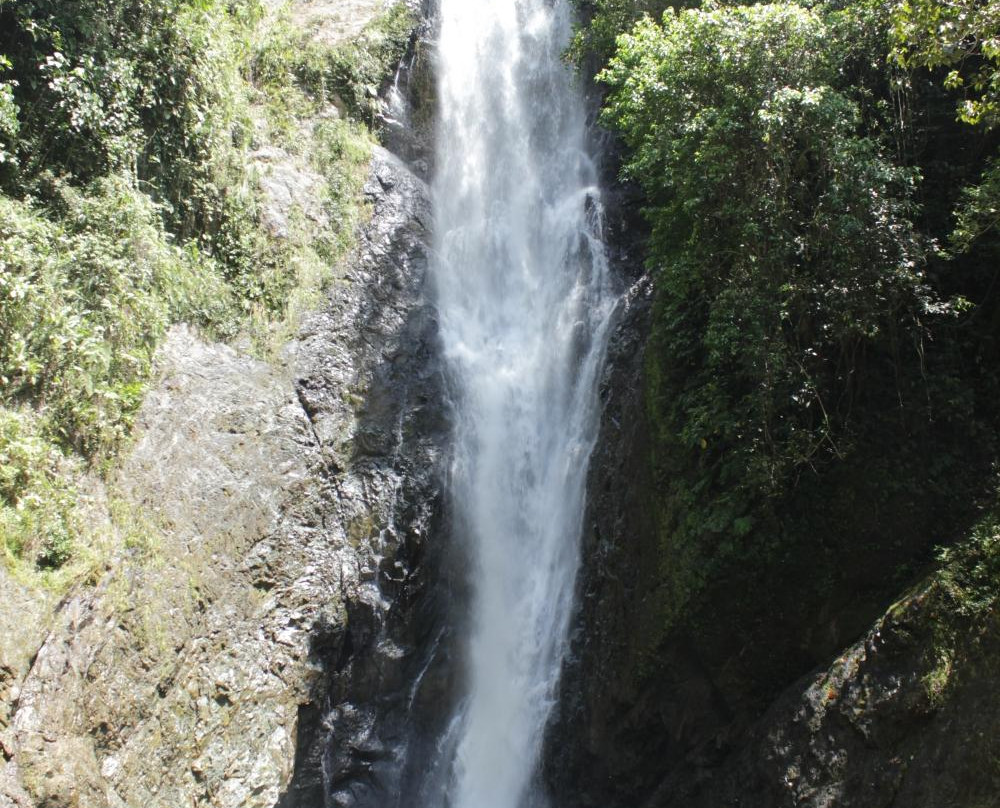 Discover Fiji Tours-Navua必去景点