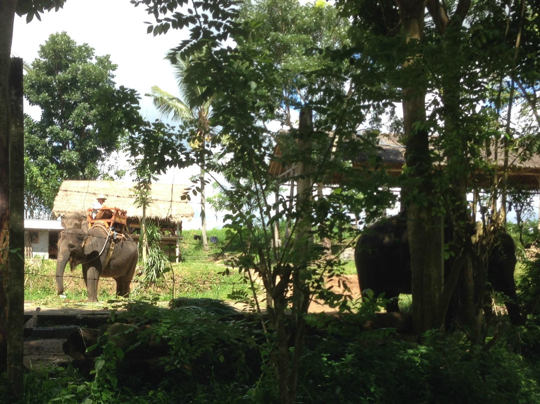 巴厘大象营-Carangsari必去景点