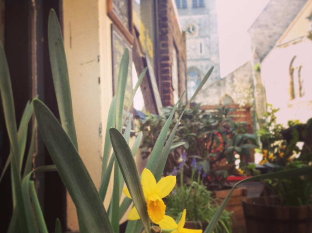 Stepping Stone Studios-梅德斯通必去景点