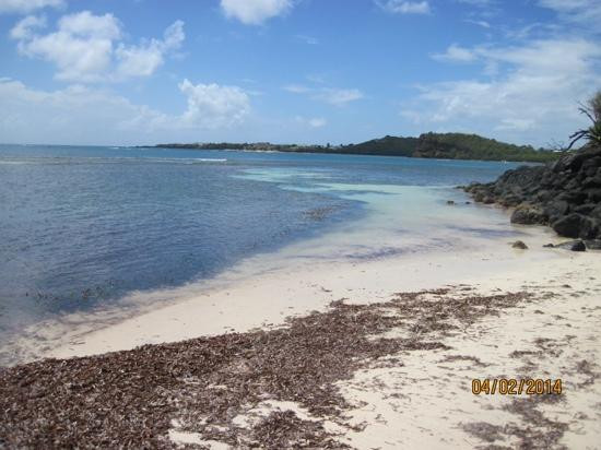 Conservation Kayak-St. George's必去景点