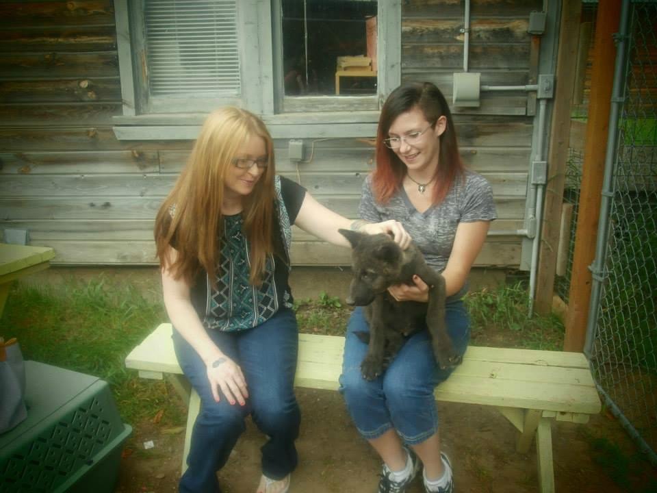 Wolf People-Cocolalla必去景点