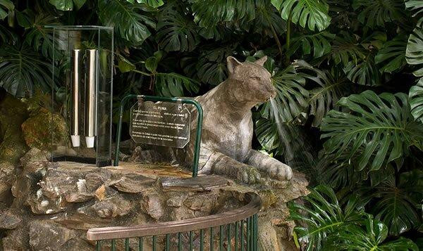 Salus' Park-Minas必去景点