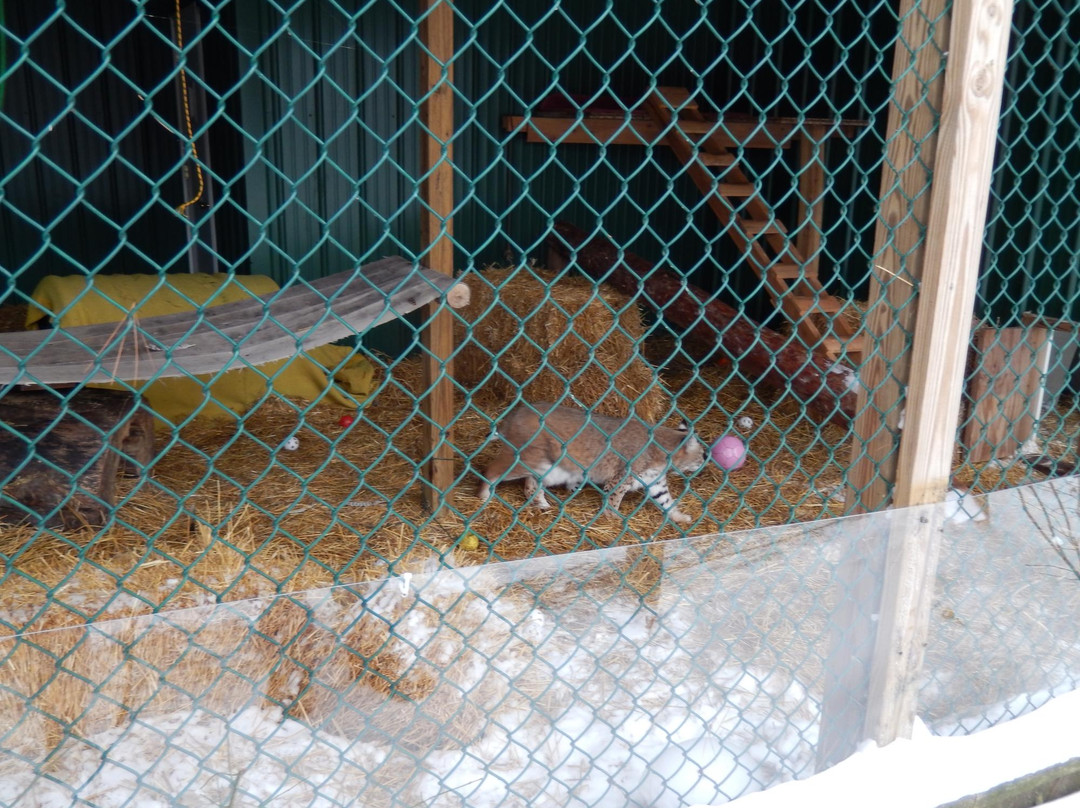 Wild Wings-Honeoye Falls必去景点