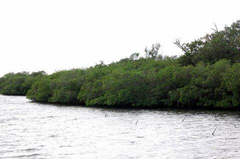 Environmental Learning Center-维罗海滩必去景点