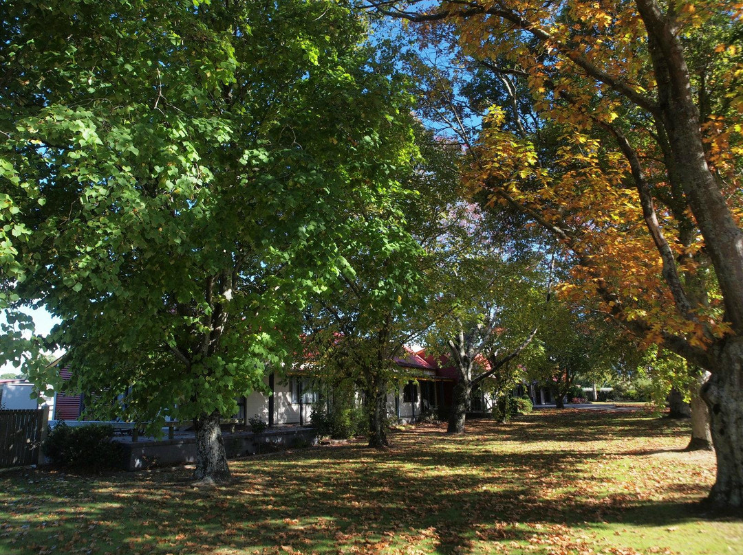 Asure Oak Estate Motor Lodge主图