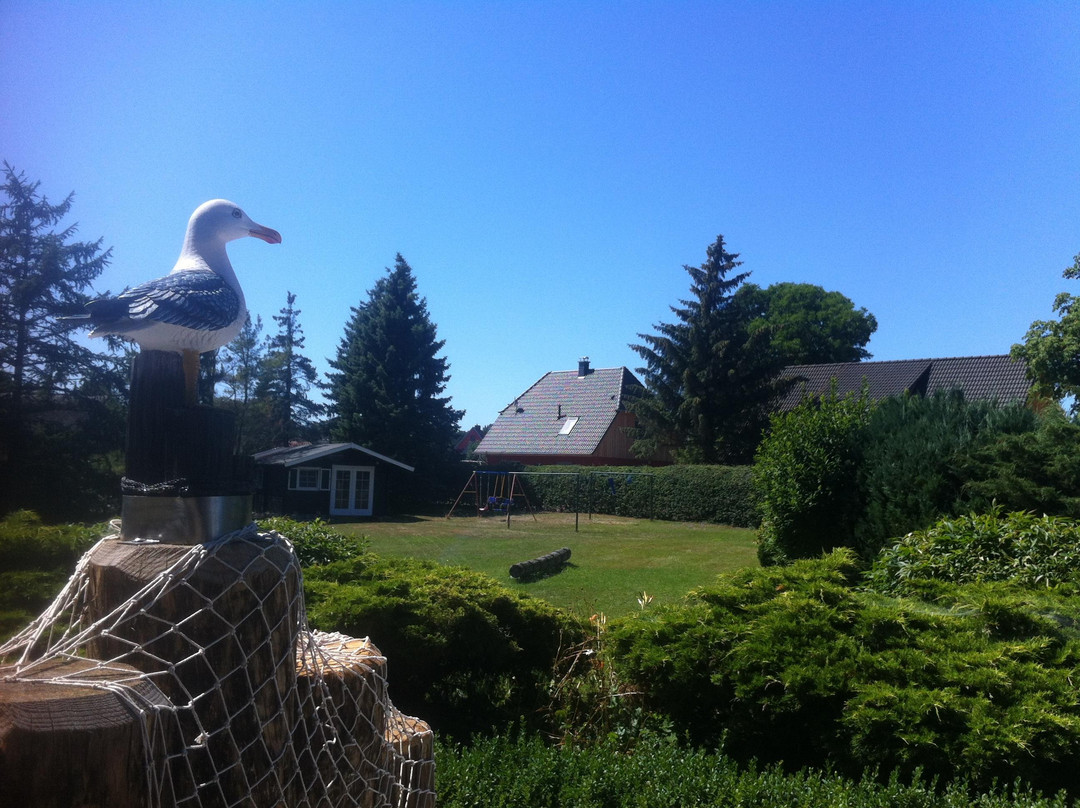 Pension Reetwinkel主图