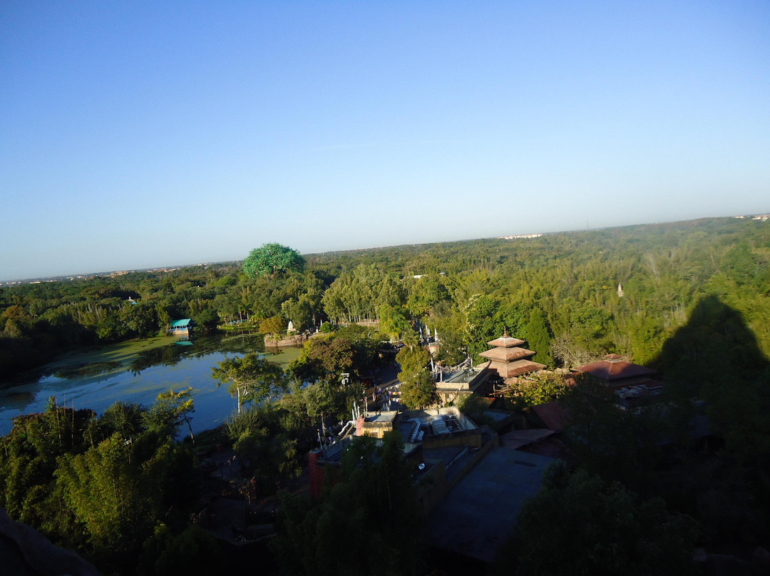 迪斯尼动物王国-奥兰多必去景点
