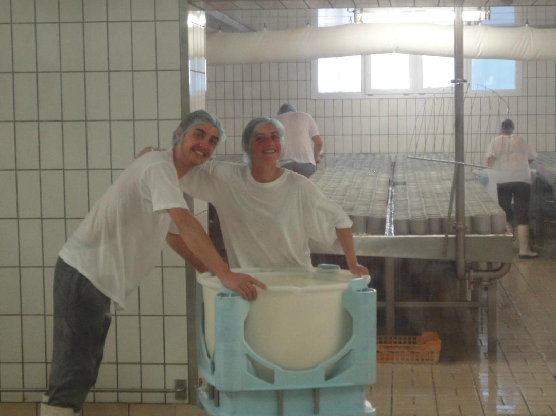 La Fromagerie REAUX景点图片